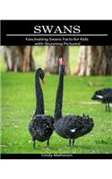 Swans: Fascinating Swans Facts for Kids with Stunning Pictures!