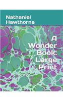 A Wonder Book: Large Print