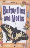 Secret World Of: Butterflies Paperback