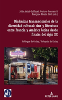 Dinamicas Transnacionales de la Diversidad Cultural: Cine Y Literatura Entre Francia Y America Latina Desde Finales del Siglo XX