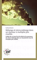 Mélange Et Micro-Mélange Dans Un Réacteur À Multiples Jets Cisaillés