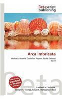 Arca Imbricata