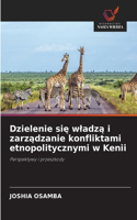 Dzielenie sie wladza i zarzadzanie konfliktami etnopolitycznymi w Kenii