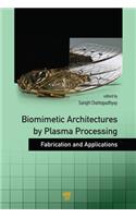 Biomimetic Architectures by Plasma Processing