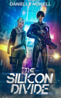 Silicon Divide