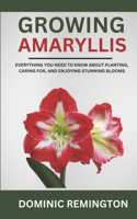 Growing Amaryllis