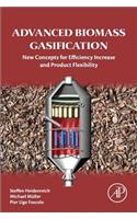 Advanced Biomass Gasification
