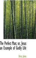 The Perfect Man; Or, Jesus an Example of Godly Life