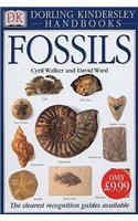 Fossils: (DK Handbooks)