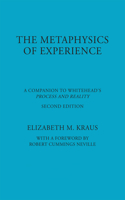 Metaphysics of Experience