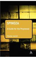 Spinoza: A Guide for the Perplexed