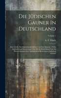Die Jüdischen Gauner In Deutschland