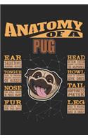 Anatomy Of A Pug