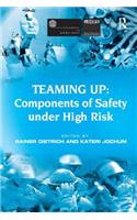 Teaming Up: Components of Safety Under High Risk