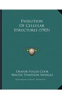 Evolution Of Cellular Structures (1905)