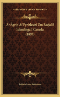 A grip Af Fyrirlestri Um Baejalif Islendinga I Canada (1893)