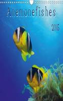 Anemonefishes / UK-Version 2015
