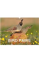 Bird Pairs 2017
