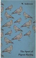 Sport of Pigeon Racing