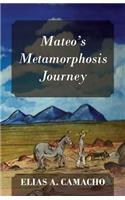 Mateo's Metamorphosis Journey