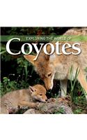 Exploring the World of Coyotes