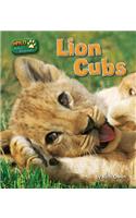 Lion Cubs