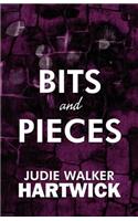 Bits and Pieces: Short Stories(English)