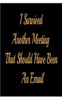 I Survived Another Meeting That Should Have Been An Email - lined notebook journal