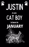 JUSTIN a cute cat boy is born in January