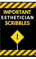 Important Esthetician Scribbles Notebook / Journal 6x9 Ruled Lined 120 Pages