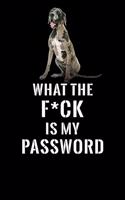 What The F*CK Is My Password, Great Dane