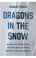 Dragons in the Snow