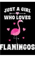 Just A Girl Who Loves Flamingos: Funny Pink Flamingo Zero Flocks Given Summer Beach Journal/Notebook Blank Lined Ruled 6x9 100 Pages