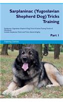 Sarplaninac (Yugoslavian Shepherd Dog) Tricks Training Sarplaninac Tricks & Games Training Tracker & Workbook. Includes: Sarplaninac Multi-Level Tricks, Games & Agility. Part 1
