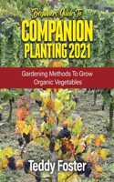 Beginners Guide to Companion Planting 2021