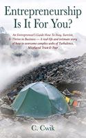 Entrepreneurship Is It For You? An Entrepreneur's Guide How To Stay, Survive, & Thrive in Business -- A real-life and intimate story of how to overcome complex webs of Turbulence, Misplaced Trust & Fear