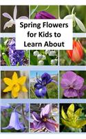 Spring Flowers for Kids to Learn About