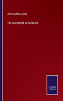 Naturalist in Bermuda