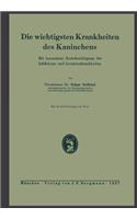 Die Wichtigsten Krankheiten Des Kaninchens