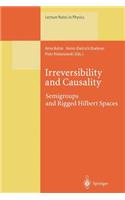 Irreversibility and Causality