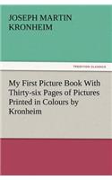 My First Picture Book with Thirty-Six Pages of Pictures Printed in Colours by Kronheim