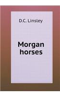Morgan Horses