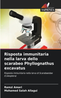 Risposta immunitaria nella larva dello scarabeo Phyllognathus excavatus