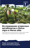 &#1048;&#1089;&#1089;&#1083;&#1077;&#1076;&#1086;&#1074;&#1072;&#1085;&#1080;&#1077; &#1074;&#1090;&#1086;&#1088;&#1080;&#1095;&#1085;&#1099;&#1093; &#1084;&#1077;&#1090;&#1072;&#1073;&#1086;&#1083;&#1080;&#1090;&#1086;&#1074; &#1074; Morus nigra &