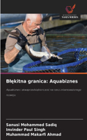 Blękitna granica