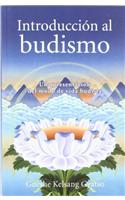 Introduccion Al Budismo (Introduction to Buddhism)