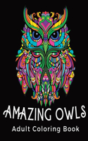 Amazing Owls - Adult coloring book
