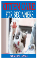 Kitten Care for Beginners