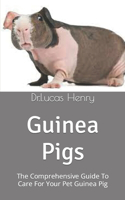 Guinea Pigs