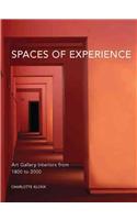 Spaces of Experience